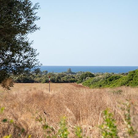 Masseria Scaledda Мандурия Екстериор снимка